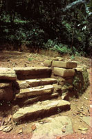 El bosque seco tropical se regener� por completo en las �reas costeras que hab�an sido ocupadas por los tayrona antes de la llegada de los espa�oles.