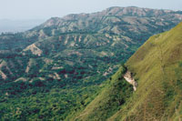 Se estima que, en gran medida, el fen�meno de calentamiento de la atm�sfera global se debe a la deforestaci�n