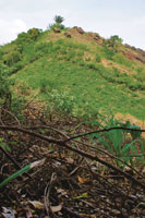 Las variaciones clim�ticas extremas y la tala rasa de los bosques secos conduce a la degradaci�n de los suelos y a la desertizaci�n.