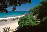 En la costa Pac�fica del norte de Costa Rica -Parque Nacional Santa Rosa, provincia de Guanacaste- se encuentran los �ltimos relictos bien conservados de bosque seco tropical de Am�rica Central.