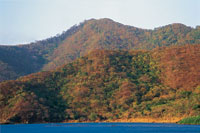 Sector de Neguange en el Parque Nacional Natural Tayrona en el mes de abril