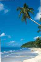 
En la regi�n del Caribe, la insolaci�n es m�xima durante la �poca de solsticio.
