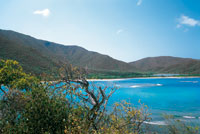 Los tonos de ocre y gris dominan el paisaje durante la sequ�a.