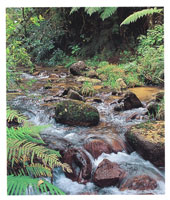 M�s de 30 r�os importantes y 680 microcuencas aportan m�s de 10.000 millones de metros c�bicos de agua al a�o.