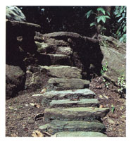 Los caminos de piedra comunicaron la vertiente norte y la occidental de la Sierra. Su funci�n fue crucial en el establecimiento de una compleja red de ciudades y villas en el periodo prehisp�nico.