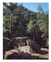 Las ciudades arqueol�gicas documentadas en las investigaciones cient�ficas hechas entre 1975 y 1985 demuestran la existencia de m�s o menos 300 asentamientos urbanos cuyo desarrollo arquitect�nico y de manejo ambiental fue notable.