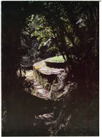 Terraza arqueol�gica del asentamiento Tayrona conocido como Ciudad Perdida o Buritaca 200.