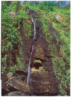 En la serran�a de Macuira se encuentra la mayor riqueza h�drica de la Alta Guajira, fen�meno que contrasta con la aridez del desierto.