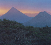 En la serran�a de Macuira se encuentra desde la vegataci�n seca y espinosa de las zonas planas perif�ricas hasta una frondosa vegetaci�n sobre los 500 msnm, constituida principalmente por el �nico bosque de niebla enano del pa�s.
