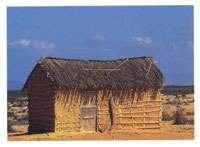 Los grupos que habitan la pen�nsula de la Guajira han desarrollado una extraordinaria capacidad de adaptaci�n a las condiciones clim�ticas extremas.