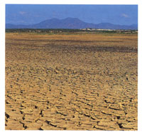 Para los ind�genas Way�, Macuira es un lugar sagrado que adem�s mantiene el equilibrio natural.