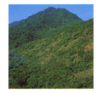 Las cumbres m�s altas del Santuario de Fauna Y Flora de Los Colorados.