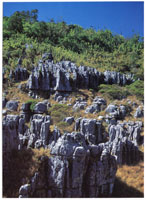 Suelos con conos denudativos, formaciones que tambi�n aparecen en el sector venezolano de la serran�a.