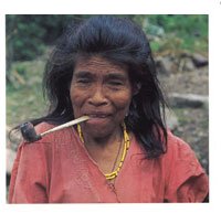 Entre las comunidades abor�genes que a�n subsisten en la serran�a se encuentran los Yuko-yukpas, vedaderos pigmeos pertenecientes a la familia ling��stica Karibe.