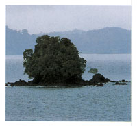 La regi�n es una de las m�s lluviosas del planeta; tiene un promedio de 300 d�as de lluvia al a�o y una precipitaci�n media de 7.000 mm.