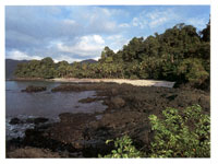 La serran�a se incr�sta en el oc�ano Pac�fico y forma bellas ensenadas como la de Utr�a.