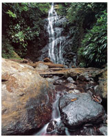 Pr�cticamente es imposible hacer un recuento detallado de las microcuencas y quebradas que descienden de la serran�a del Baud�-Los Saltos, aunque se estima que el recurso h�drico de esta zona es uno de los m�s altos del mundo.