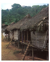 La regi�n est� actualmente habitada por ind�genas, negros y mestizos que han adaptado sus formas de vida a las caracter�sticas clim�ticas de la selva m�s h�meda del planeta, donde han creado una tradici�n cultural propia.