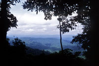 El Tap�n del Dari�n. Formaci�n natural que contiene una de las m�s intrincadas selvas del planeta.