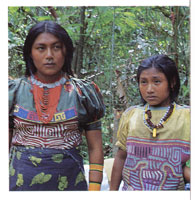 Desde hace muchos siglos el Dari�n ha sido lugar de habitaci�n de muchos grupos ind�genas; en la actualidad se encuentran all� las etnias Cuna y Embera que comparten el h�bitat con grupos afroamericanos y algunos colonos.