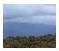 Las grandes obras de infraestructura proyectadas para la regi�n han derribado el �rea; sin embargo, gracias a la conciencia ambiental, se est�n desarrollando planes de protecci�n que han mostrado su eficacia.