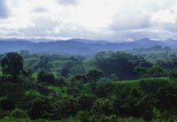 La m�s reciente de las formaciones del sistema monta�oso perif�rico de los Andes.