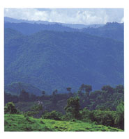 San Lucas se considera un refugio y centro de especiaci�n bil�gica de origen pleistoc�nico.