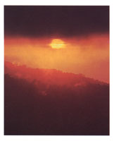 El clima ha sido una variable muy importante para el surgimiento de la vida org�nica.