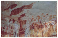 Pictograf�a con elementos zoomorfos y fitomorfos que representan esc�nas prehist�ricas de la relaci�n hombre- medio natural, en las selvas amaz�nicas colombianas.