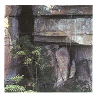 Estratos geol�gicos de Chiribiquete, pertenecientes a la formaci�n Roraima, la m�s antigua del continente.