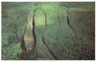 Los topes del tepuy son generalmente cortados por profundas grietas que siguen un patr�n estructural de fracturamiento.