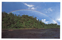 En las �reas que circundan la serran�a, lavegetaci�n est� constituida por selvas higrof�ticas cuyos �rboles alcanzan los 40 metros.