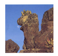 La Ciudad de Piedra, extrordinaria formaci�n esculpida por el agua y el viento.