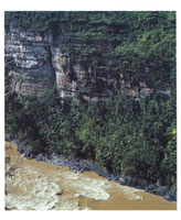 En el corredor de los r�os Duda y Guayabero, son frecuentes los etrechos ca�ones de paredes escarpadas.