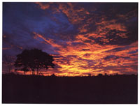 La protecci�n de la serran�a de La Macarena se inici� en 1948 cuando fue declarada Reserva Biol�gica. En 1989 se constituy� en Parque Nacional Natural.