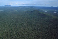 Estas dos serran�as, Tunah� y Naqu�n, enfrentan una gran presi�n por la utilizaci�n de sus recursos. En los �ltimos a�os, Tunah� ha sido objeto de un permanente proceso de colonizaci�n relacionado con cultivos il�citos; Naqu�n por la extracci�n de Oro.