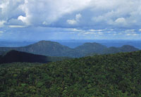 Estas dos serran�as, Tunah� y Naqu�n, enfrentan una gran presi�n por la utilizaci�n de sus recursos. En los �ltimos a�os, Tunah� ha sido objeto de un permanente proceso de colonizaci�n relacionado con cultivos il�citos; Naqu�n por la extracci�n de Oro.