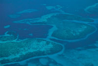 Hace 135 millones de a�os, un mar somero inundaba las actuales llanuras del Caribe, parte del Cauca, las cuencas medias y bajas del Magdalena y las altiplanicies de Cundinamarca, Boyac� y los Santanderes. En estas regiones se encuentra la mayor concentrac