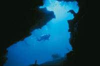 En las islas de San Andr�s, el crecimiento de la barrera arrecifal, ha ido formando una intrincada red de cavernas que dan abrigo a muchas especies.