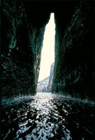 En el �rea del Pac�fico colombiano se encuentran varias placas tect�nicas que han generado cordilleras marinas de origen volc�nico, una de las cuales se manifiesta en la superficie a trav�s de la isla de Malpelo.