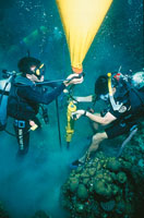 Cient�ficos colombianos colocando una boya para delimitar �reas de protecci�n del coral.