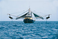 Actualmente, tanto en el Caribe como en el Pac�fico, las compa��as pesqueras colombianas han tecnificado sus m�todos de extracci�n. Sin embago, debido a malas pr�cticas, en algunas oportunidades la pesca acompa�ante es muy alta, lo cual causa un enorme da