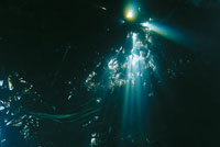 Las condiciones espec�ficas de radiaci�n solar, temperatura, compuestos gaseosos de la atm�sfera y el oc�ano, as� como la disponibilidad de humedad permanente del planeta, hicieron de este asteroide un espacio habitable.
P�gina 25. La vida que comenz� en