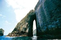 La mayor parte de los accidentes geogr�ficos, como la isla de Malpelo en el Pac�fico colombiano, son causados por el choque de las placas terrestres.