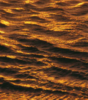 El mar retiene gran parte de la radiaci�n solar durante el d�a y la libera en la noche, con lo cual se convierte en un gigantesco regulador de la temperatura global.