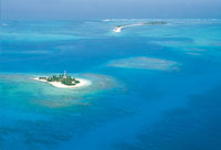 Uno de los m�s representativos ecosistemas de los litorales est� constituido por las playas arenosas, conformadas por sedimentos terrestres o por restos coralinos. All� habitan algunas especies que se entierran para evitar la acci�n directa de las olas, l