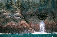 Litoral rocoso en la isla de Malpelo, localizada en el Pac�fico colombiano, a 330 km del litoral, frente al puerto de Buenaventura.